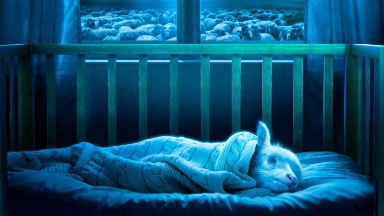Lamb image