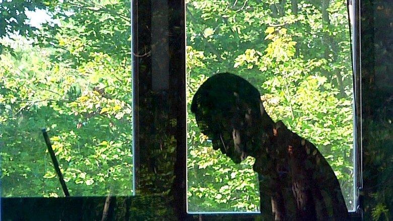 A Will for the Woods image
