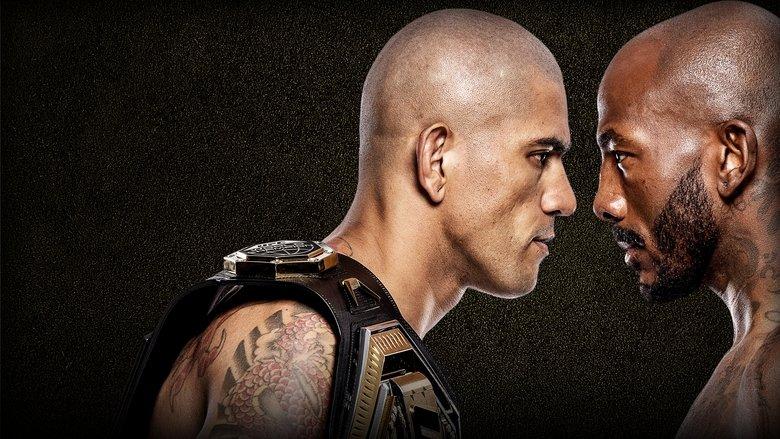 UFC 307: Pereira vs. Rountree Jr. image