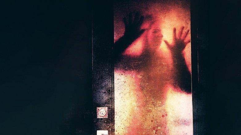 Tiny House of Terror image