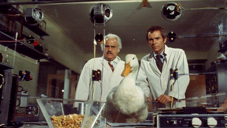 The Million Dollar Duck image