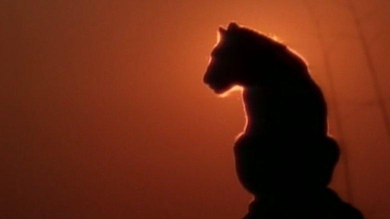 Lions Of Darkness image