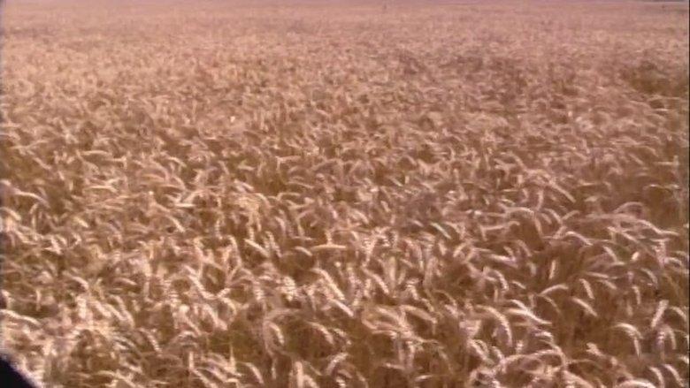End of the Harvest image