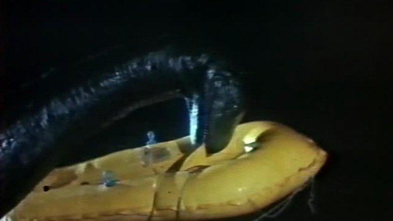 The Loch Ness Horror image