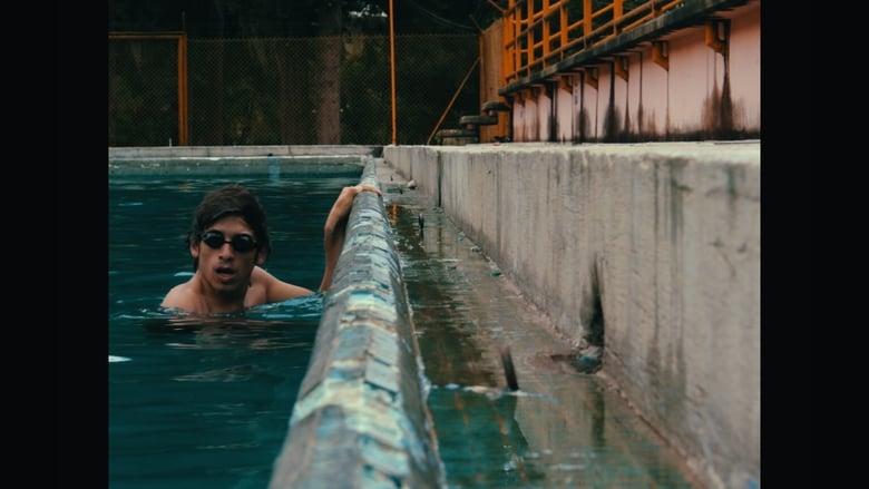 The Pool image