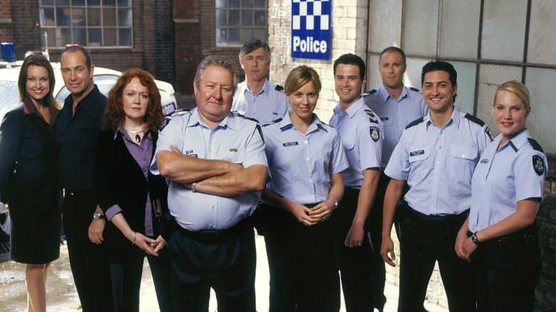 Blue Heelers image
