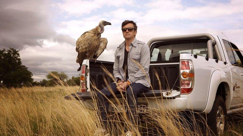 Richard Hammond's Miracles of Nature image