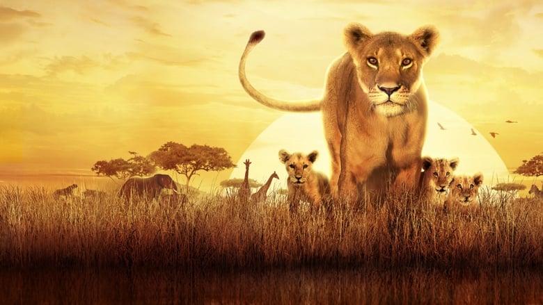Serengeti image