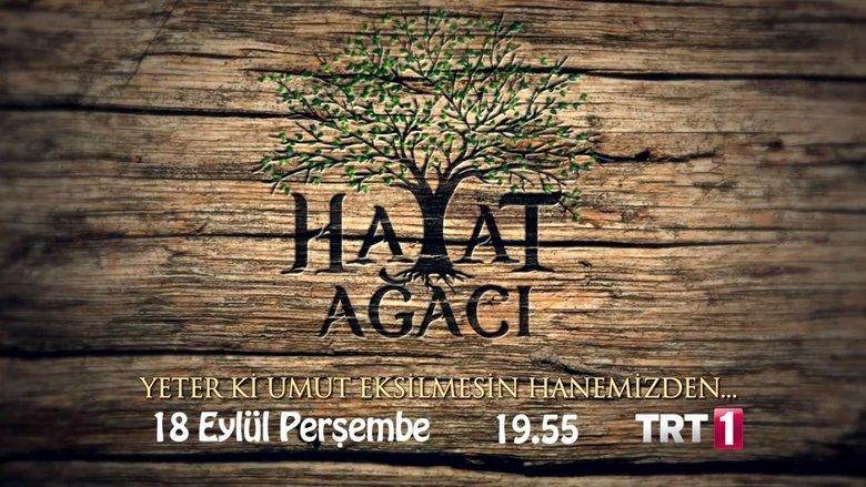 Hayat Ağacı image