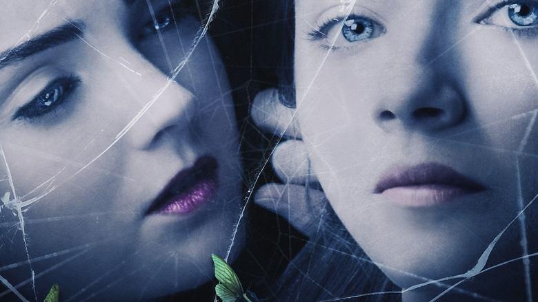 The Moth Diaries image