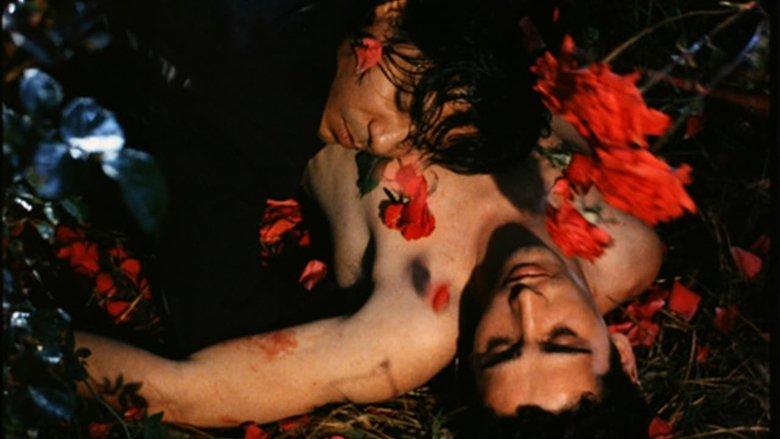The Rose King image