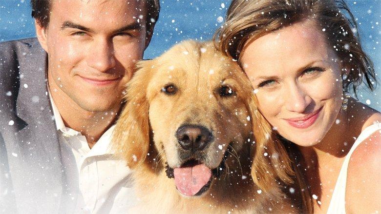 A Golden Christmas 3 image