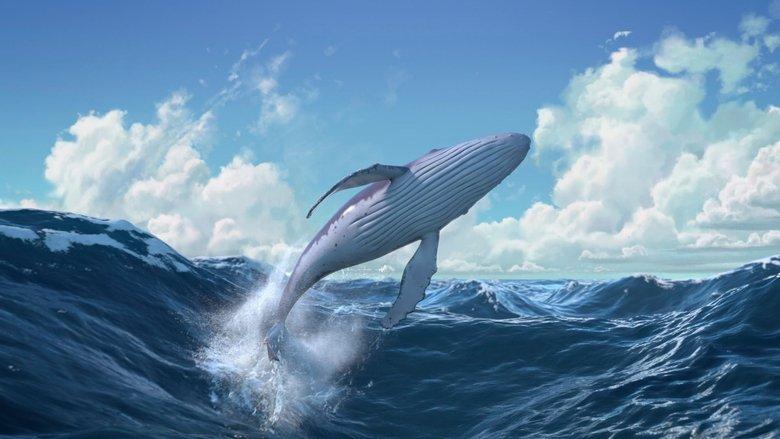 The Snail and the Whale image
