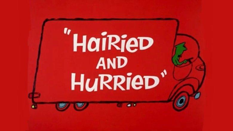 Hairied and Hurried image