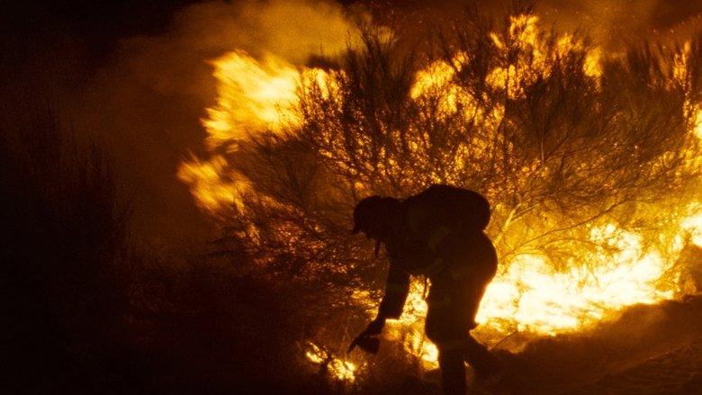 Fire Will Come image