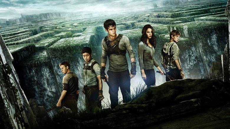 The Maze Runner image