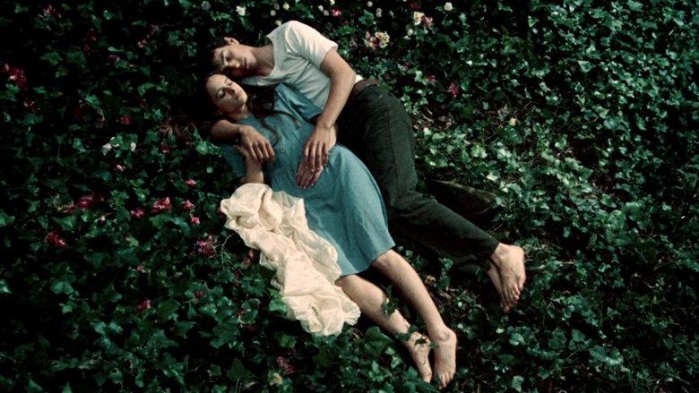 Fragile as the World image