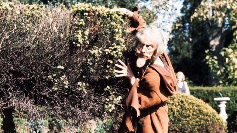 Catweazle image