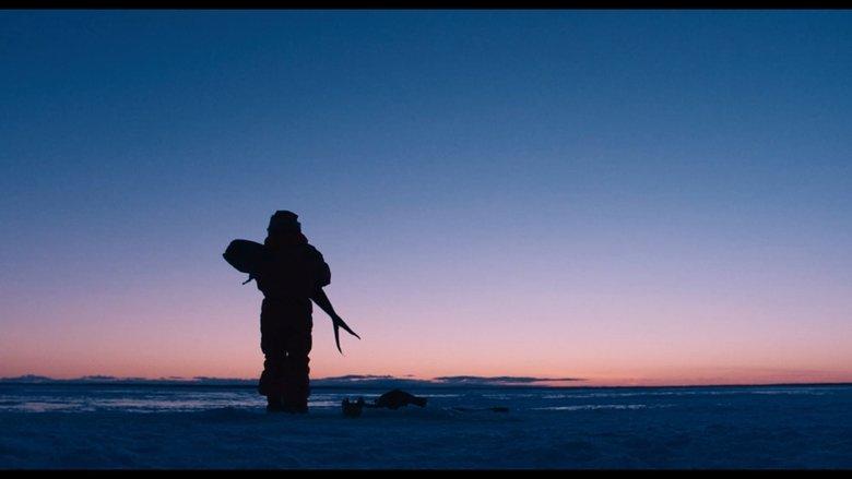 -21 image