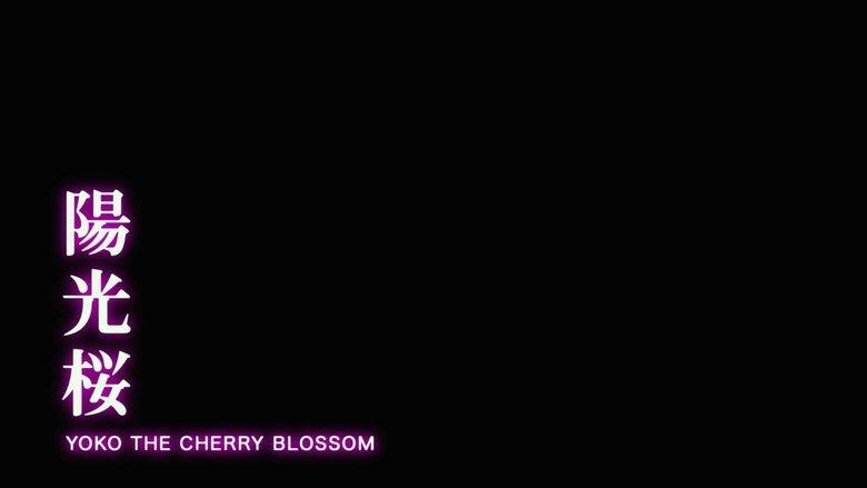 Yoko the Cherry Blossom image