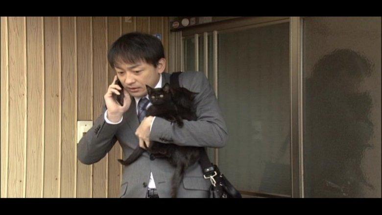 くろねこルーシー image