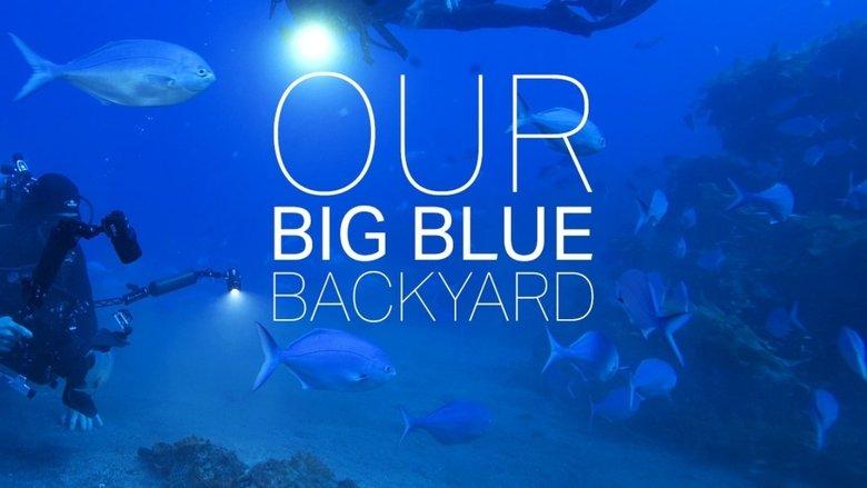 Our Big Blue Backyard image