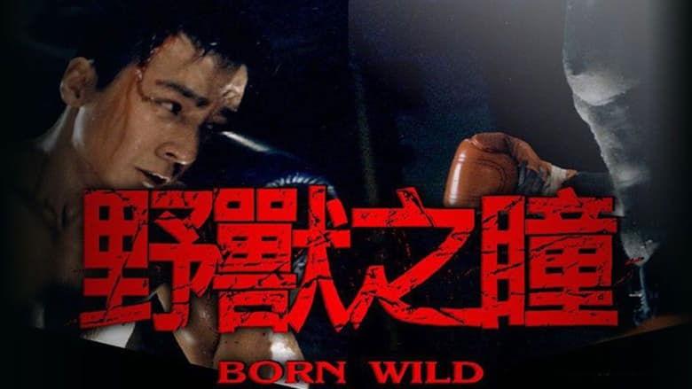Born Wild image