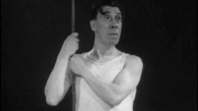 The Acrobat image