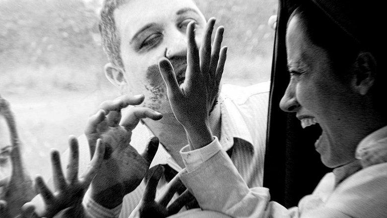 Zombies in the Sugar Cane Field: The Documentary image