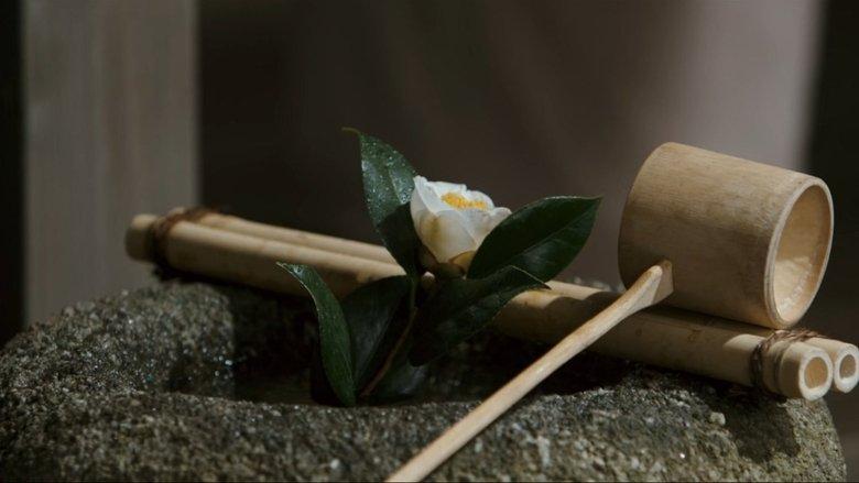 Ask This of Rikyu image