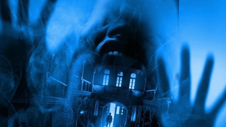 Day 13 image