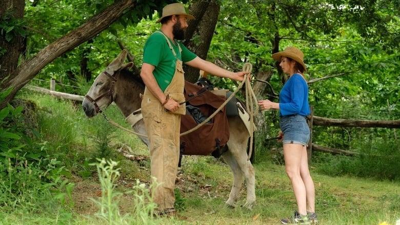 My Donkey, My Lover & I image