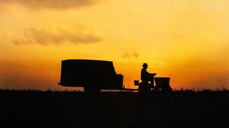 The Straight Story image