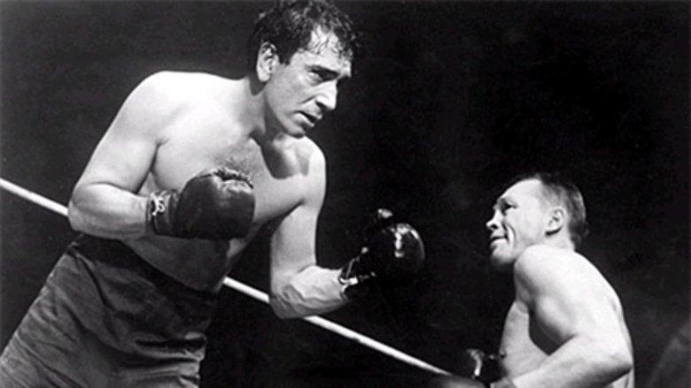 The Fighter image