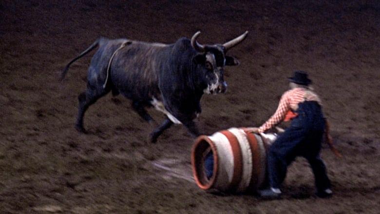 Rodeo image