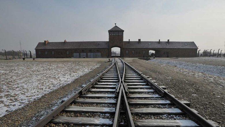 Born in Auschwitz image