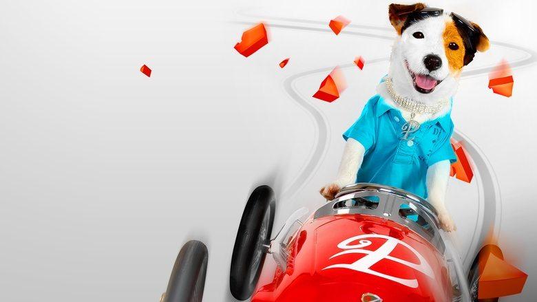 Millionaire Dog image