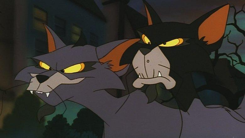 Felidae image