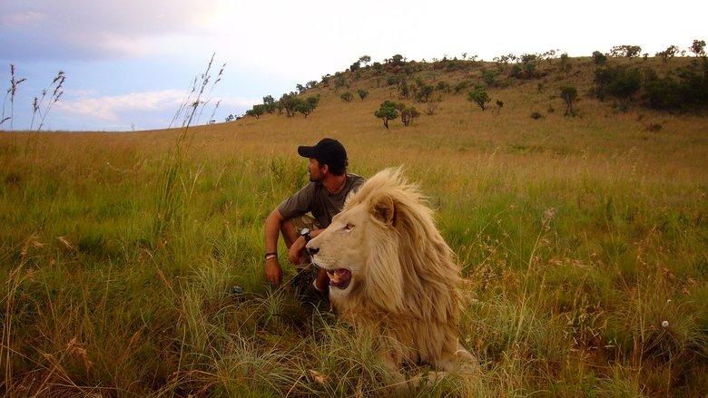 African Safari image