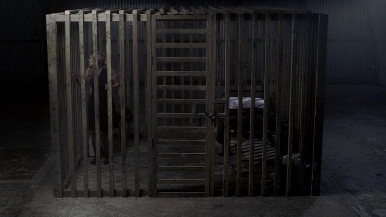 Cage image
