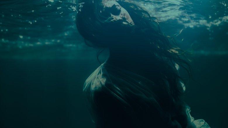Bodies in the Water image
