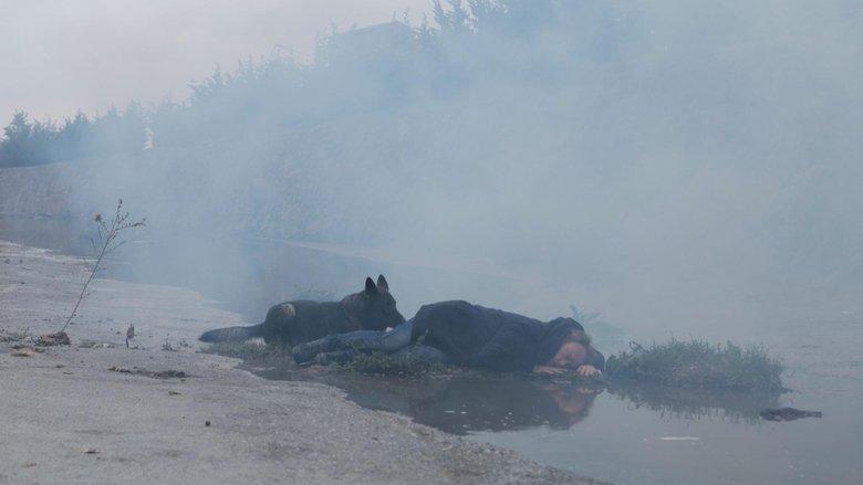 Why Can't I Be Tarkovsky? image