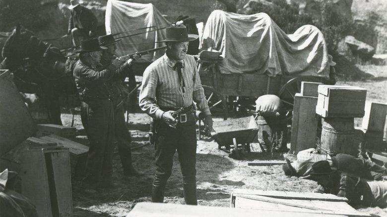 The Big Bonanza image