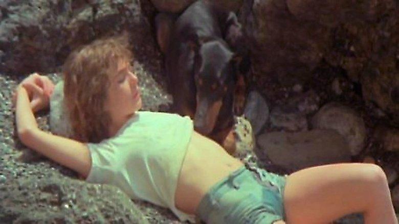 Dog Lay Afternoon image