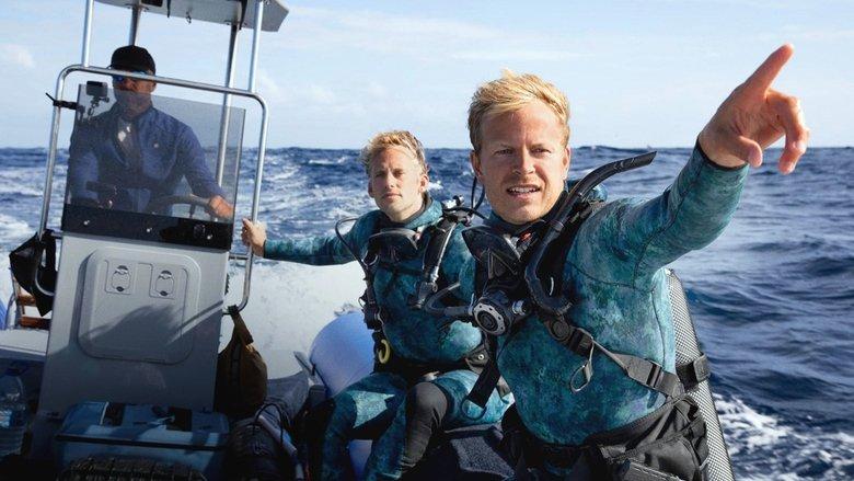 Dolphins Up Close with Bertie Gregory image