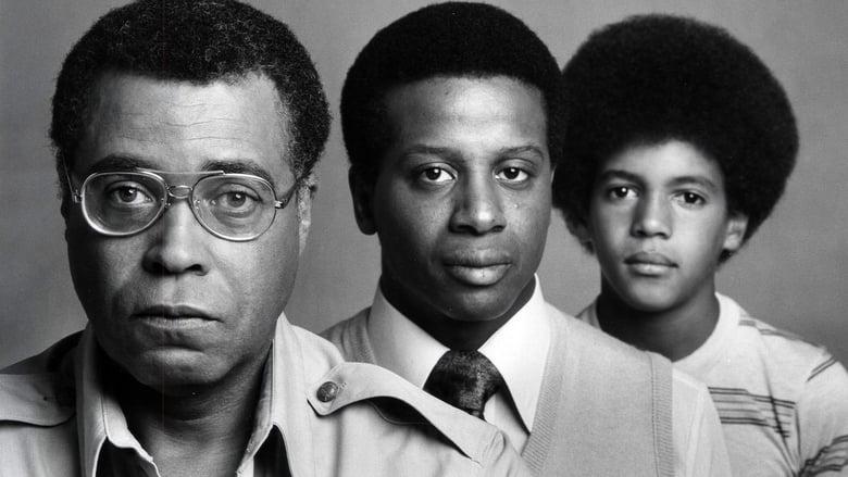 Roots: The Next Generations image