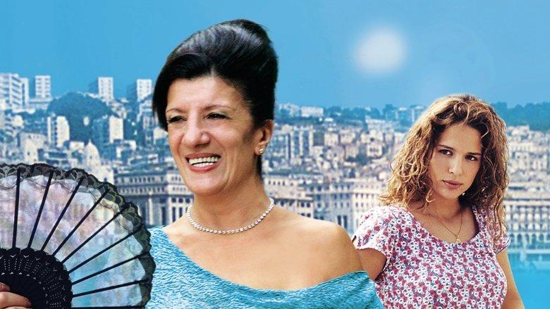 Délice Paloma image