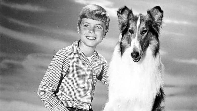 Lassie image