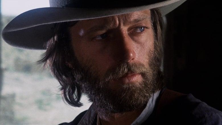 The Hired Hand image