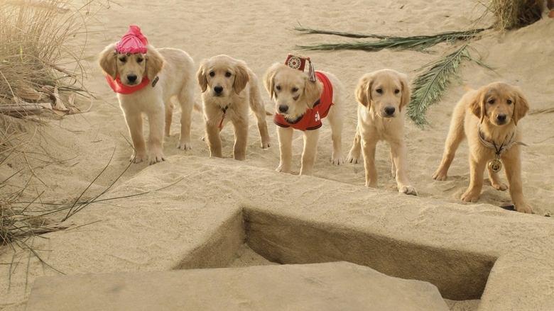 Treasure Buddies image